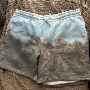 Pacsun Men’s Graphic Sweat Shorts